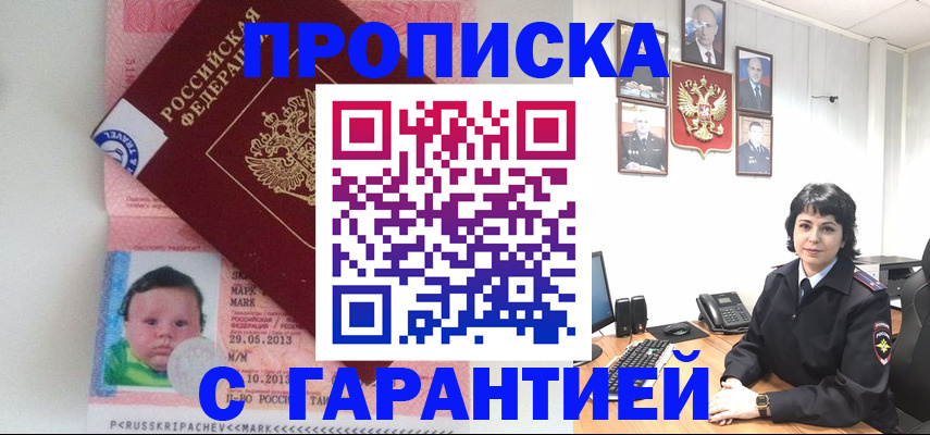 временная регистрация надежно в Курской области
